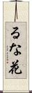 るな花 Scroll