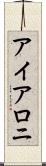 アイアロニ Scroll