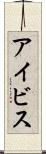 アイビス Scroll