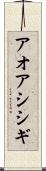アオアシシギ Scroll
