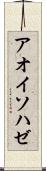 アオイソハゼ Scroll