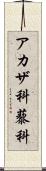 アカザ科 Scroll
