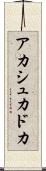 Akash Khadka Scroll