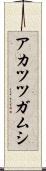 アカツツガムシ Scroll