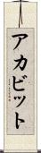 アカビット Scroll