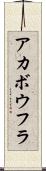 アカボウフラ Scroll