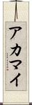 アカマイ Scroll