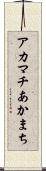 アカマチ Scroll