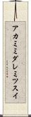 アカミミダレミツスイ Scroll