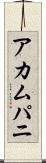 アカムパニ Scroll