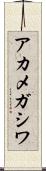 アカメガシワ Scroll