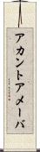 アカントアメーバ Scroll