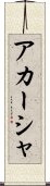 Akasha Scroll