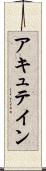 アキュテイン Scroll