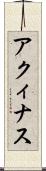 アクィナス Scroll