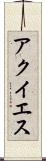 アクイエス Scroll