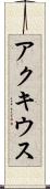 アクキウス Scroll