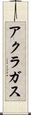 アクラガス Scroll