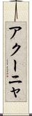 アクーニャ Scroll