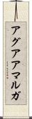 アグアアマルガ Scroll