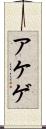アケゲ Scroll