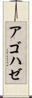 アゴハゼ Scroll