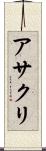 アサクリ Scroll