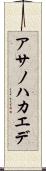 アサノハカエデ Scroll