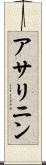 アサリニン Scroll