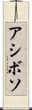 アシボソ Scroll