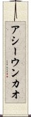 Assuncao Scroll