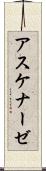 アスケナーゼ Scroll