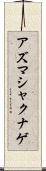 アズマシャクナゲ Scroll