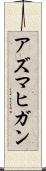 アズマヒガン Scroll