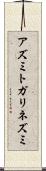 アズミトガリネズミ Scroll