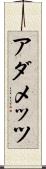 アダメッツ Scroll