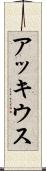 アッキウス Scroll