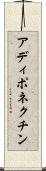 アディポネクチン Scroll