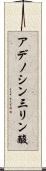 アデノシン三リン酸 Scroll