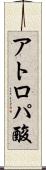 アトロパ酸 Scroll