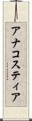 アナコスティア Scroll