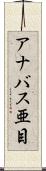 アナバス亜目 Scroll