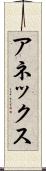 アネックス Scroll