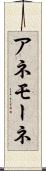 アネモーネ Scroll