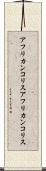 アフリカンコリス Scroll