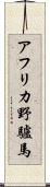 アフリカ野驢馬 Scroll