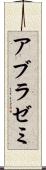 アブラゼミ Scroll