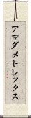 アマダメトレックス Scroll