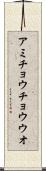 アミチョウチョウウオ Scroll