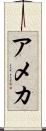 アメカ Scroll